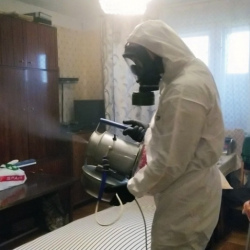 Дезинфекция от клопов в Невьянске