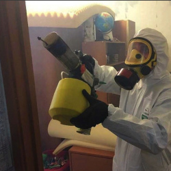 Уничтожение клопов в квартире. Невьянск